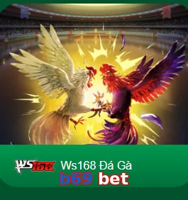 b69 bet